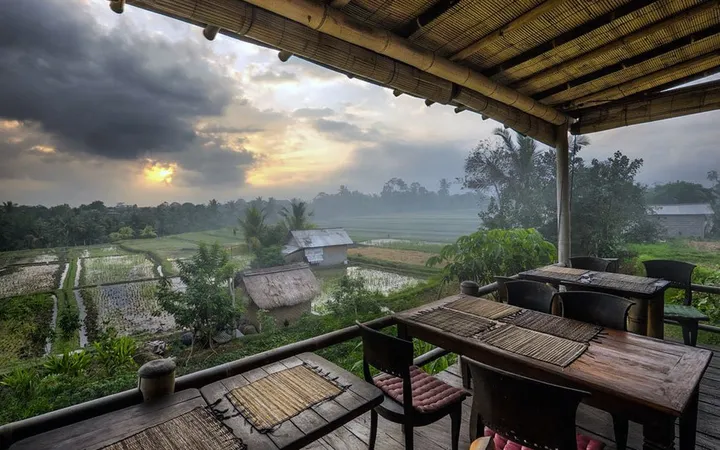 3 Restoran Ubud Terbaik: No.2 Favorit Wisatawan, Wajib Coba!