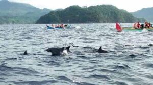 4 Desa Wisata Tersembunyi Indonesia: Pesona Menawan yang Memikat