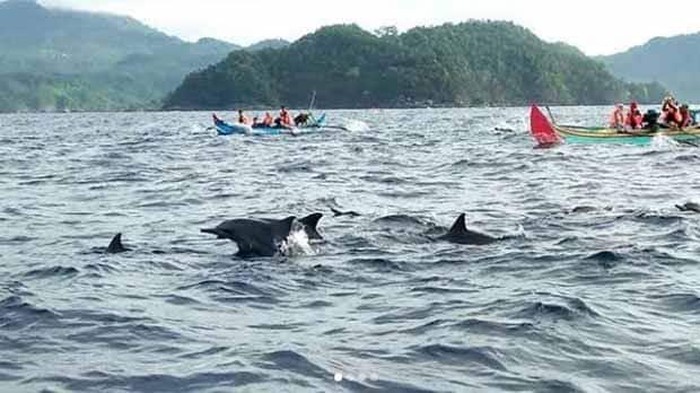 4 Desa Wisata Tersembunyi Indonesia: Pesona Menawan yang Memikat