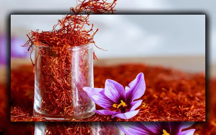 6 Manfaat Kesehatan Saffron: Lebih dari Sekadar Mewah
