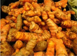 Atasi Diabetes & Kolesterol Tinggi: Ramuan Rempah Ajaib dr. Zaidul Akbar