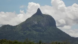 Bukit Jempol Sumatera Selatan: 6 Fakta Pendakian Tersembunyi