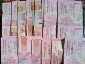 Dapatkan Dana Hingga Rp200 Juta Lewat eformbni.co.id