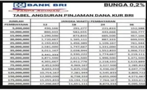 Dapatkan Pinjaman BRI Cepat Cair? Ikuti Langkah Mudah Ini!
