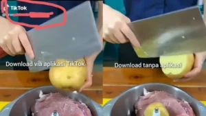 Download Video TikTok Tanpa Watermark: Mudah, Cepat, Gratis