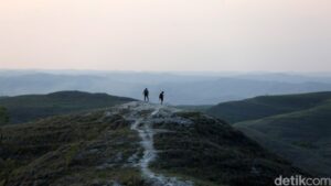 Dunia Hilang di Indonesia: Temuan Mengejutkan Ilmuwan Dunia