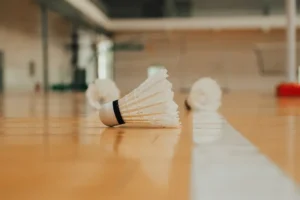 Evolusi Shuttlecock: Sejarah Bulu Tangkis dari Dulu Hingga Kini