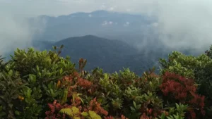 Gunung Rajah Pahang: 2 Rute Pendakian & 6 Fakta Menakjubkan