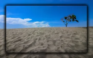 Gurun Pasir Indonesia: 4 Destinasi Eksotis Tanpa Perlu ke Luar Negeri