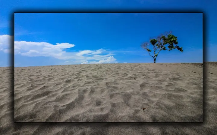 Gurun Pasir Indonesia: 4 Destinasi Eksotis Tanpa Perlu ke Luar Negeri