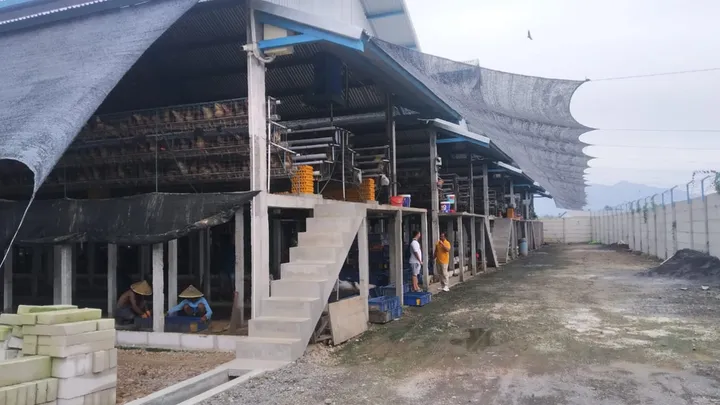 Inovasi Peternakan Ramah Lingkungan Jember: Sukses Balung, Inspirasi Nasional