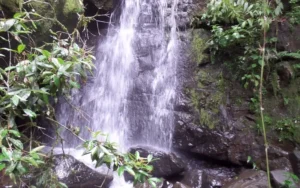 Jelajahi Air Terjun Semuncar: Surga Tersembunyi di Gunung Merbabu