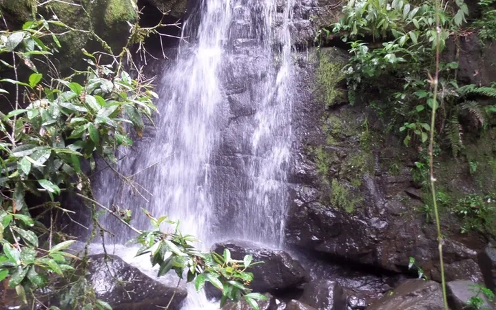 Jelajahi Air Terjun Semuncar: Surga Tersembunyi di Gunung Merbabu