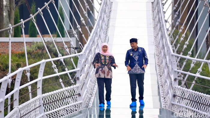 Jembatan Kaca Bromo: Pemandangan Spektakuler, Wajib Dikunjungi!