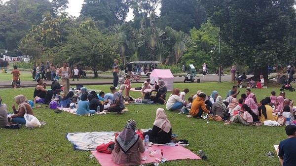 Kebun Raya Bogor: Lebih dari Sekedar Piknik, Jelajahi Keindahannya!