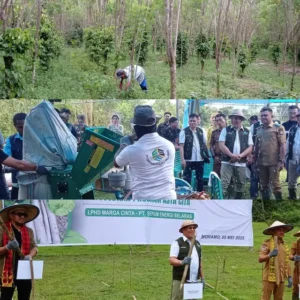 Konawe Selatan: Gamal Gantikan Batu Bara, Target 150 Ribu Ton