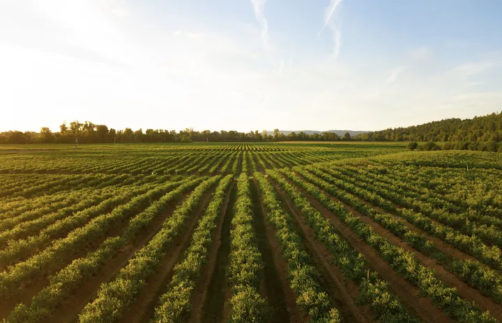 Kuasai IPA Kelas 9: Rahasia Tanah & Kehidupan Berkelanjutan