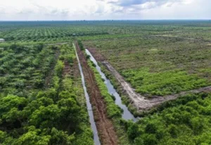 Kuasai IPA Kelas 9: Rahasia Tanah & Kehidupan Berkelanjutan