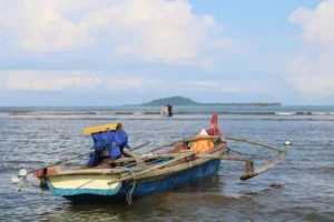Liburan Akhir Pekan Menyegarkan di Pasaman Barat: Udara Sejuk, Pemandangan Indah