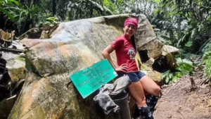 Misteri Gunung Telapak Buruk: 6 Fakta Pesawat Perang Dunia II