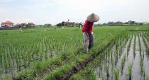 Petani Masa Depan: Hobi Pertanian Berkelanjutan Menguntungkan
