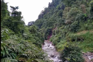 Purbalingga Raih Prestasi! Desa Wisata Serang & Sirau Masuk 500 Besar ADWI 2022