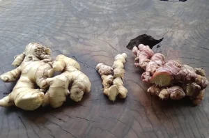 Rahasia Cengkeh, Jahe, Kayu Manis & Kunyit Atasi Diabetes Kolesterol