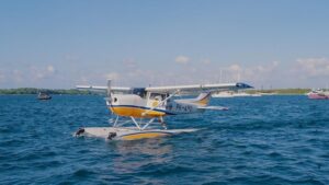 Seaplane Danau Toba: Akses Wisata Baru, Segera Terbang!