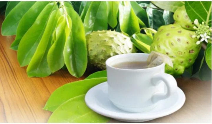 Sirsak: Rahasia Kesehatan Luar Biasa dr. Zaidul Akbar