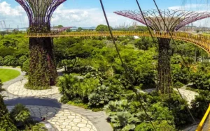 Supertree Grove Gardens by the Bay: Pesona Singapura yang Mempesona
