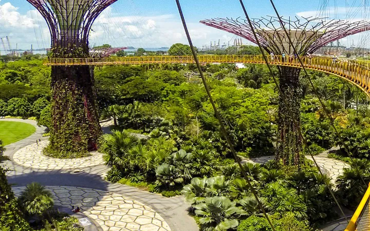 Supertree Grove Gardens by the Bay: Pesona Singapura yang Mempesona