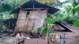 Tragedi Keluarga Miskin Sikka NTT: Gubuk Reot, 4 Anak Terlantar