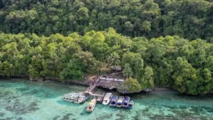 Tragedi Turis China di Pulau Kakaban: Kamera Jatuh, Tewas