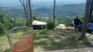 Widosari Kulon Progo: Petualangan Desa Wisata Terlengkap Menanti Anda