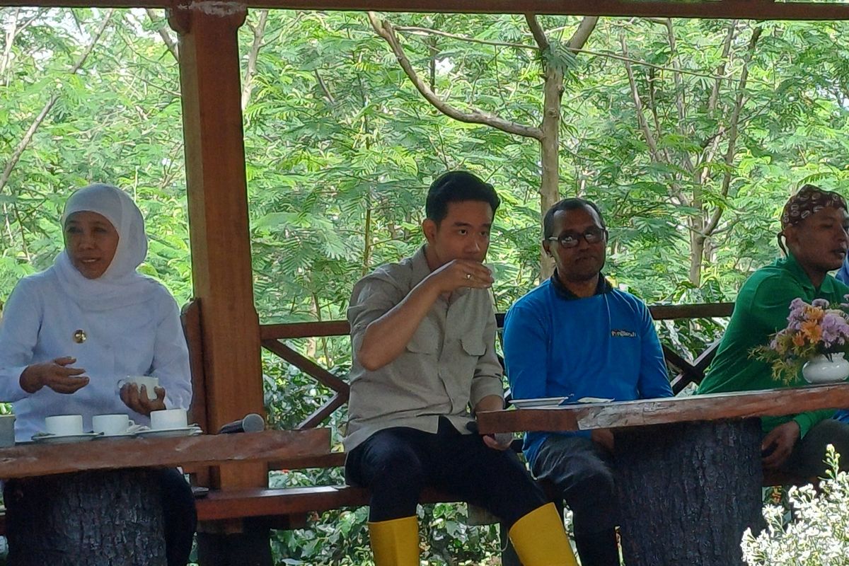 Gibran Taklukkan Kopi Bondowoso: Tantangan Asam Lambung