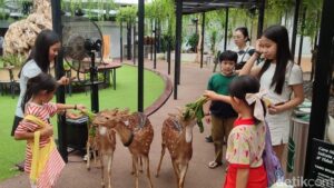 Habitat Park SCBD: Oasis Kehidupan Liar di Tengah Kota Jakarta