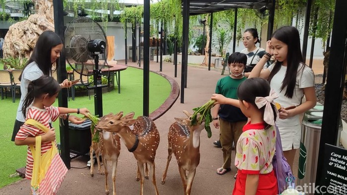 Habitat Park SCBD: Oasis Kehidupan Liar di Tengah Kota Jakarta