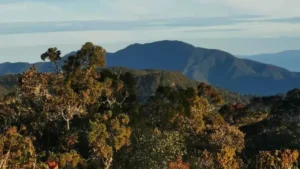 Petualangan Menakjubkan: Eksplorasi Gunung Leuser, Keindahan dan Tantangannya