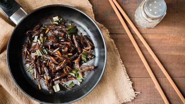 Rahasia Kuliner Unik: Makan Serangga Berabad-abad di Negara Ini