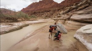 Rahasia Pasir Hisap: Selamatkan Diri Jika Terperangkap