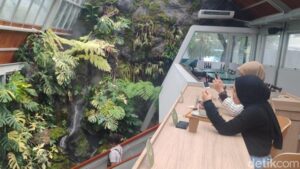 SCBD Hidden Gem: Cafe Unik di Rumah Kaca, Suasana Hutan